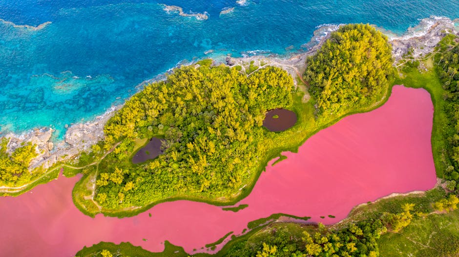 Unusual and Surprising Places Where Ashes Have Been Scattered in New Zealand